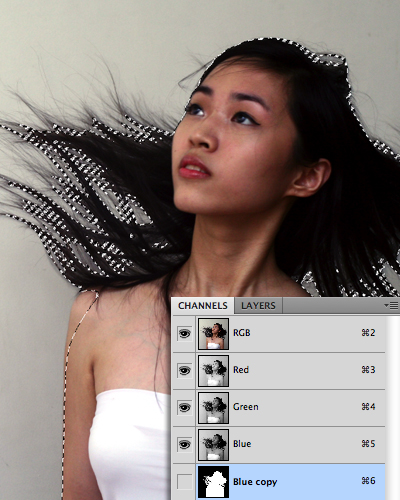 quick selection tool in photoshop 17 Photoshop中的5個(gè)快速選擇工具