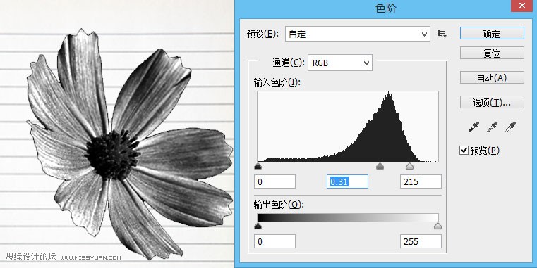 Photoshop制作藍(lán)色圓珠筆手繪花朵照片,PS教程,思緣教程網(wǎng)