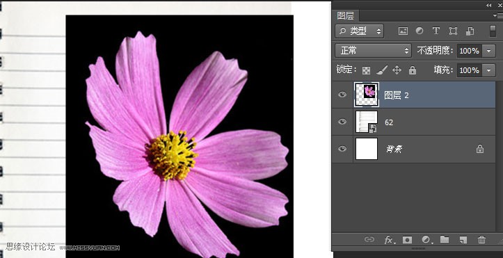 Photoshop制作藍(lán)色圓珠筆手繪花朵照片,PS教程,思緣教程網(wǎng)