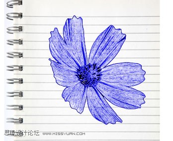 Photoshop制作藍(lán)色圓珠筆手繪花朵照片,PS教程,思緣教程網(wǎng)