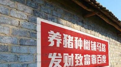 盯上8億農(nóng)民錢包 電商、互聯(lián)網(wǎng)公司大戰(zhàn)農(nóng)村墻體