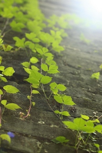 
日系溫馨風(fēng)格小清新照片拍攝和處理要點(diǎn)有哪些？