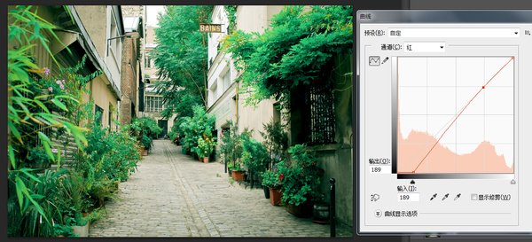 PS出日系青色膠片質(zhì)感照 Photoshop調(diào)出日系青色膠片質(zhì)感圖片教學